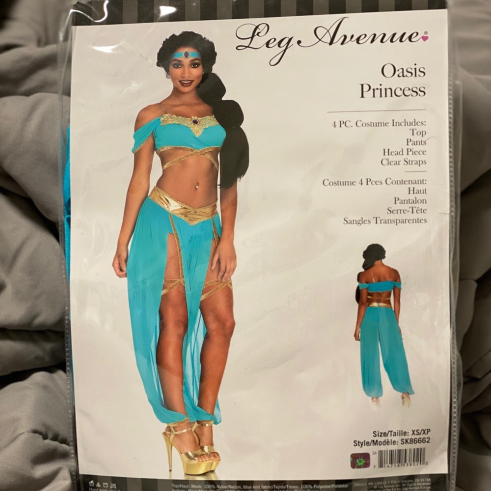 Princess Jasmine Costume